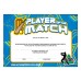 Action Cricket Player of the Match Certificate Action Cricket Player of the Match Certificate