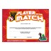 Action Netball Player of the Match Certificate Action Netball Player of the Match Certificate